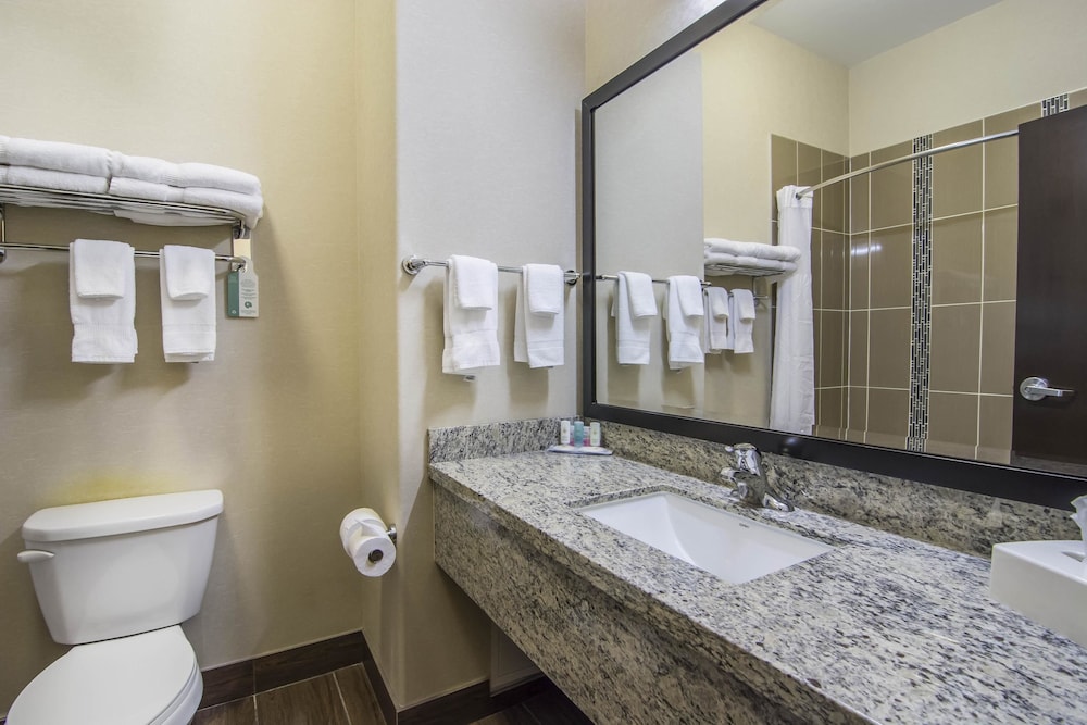 Comfort Inn & Suites Fort Saskatchewan 18/43