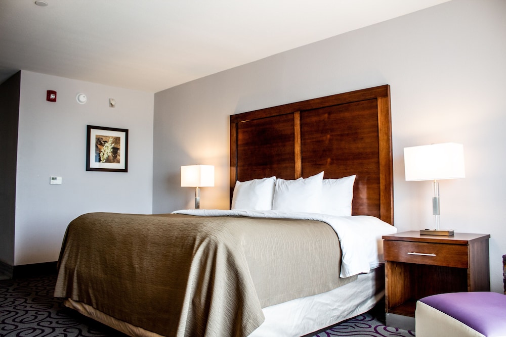 Comfort Inn & Suites Lovington, NM 12/39