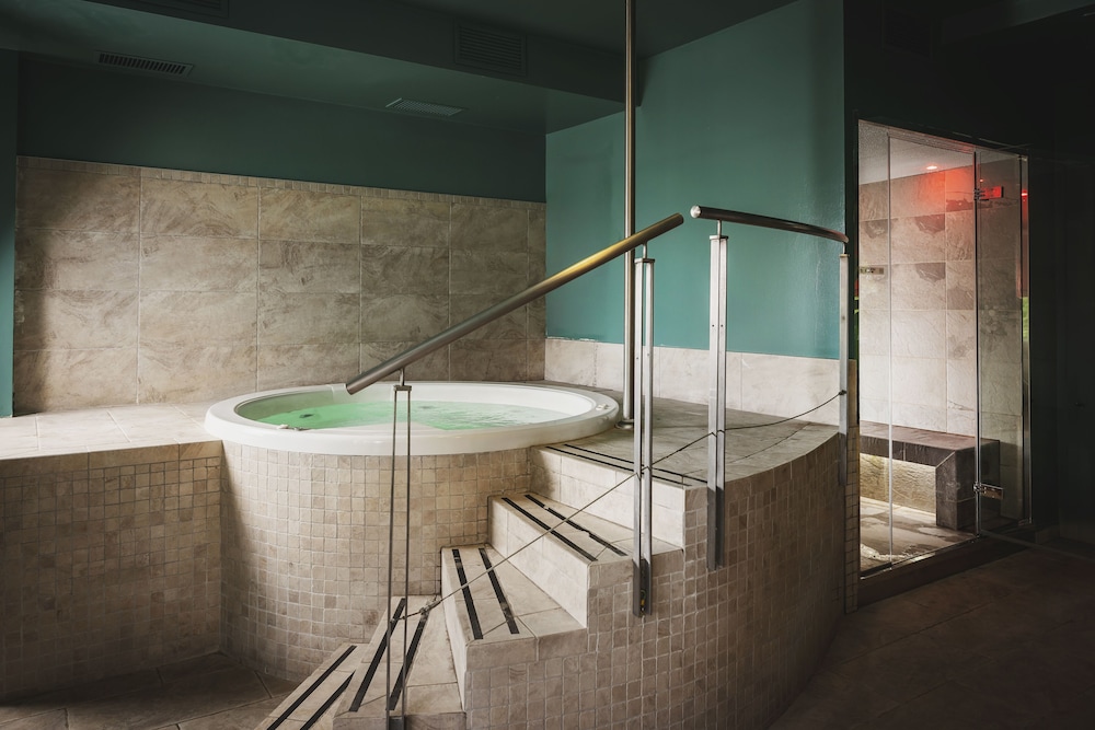 The Regent Boutique Hotel & Spa 44/67