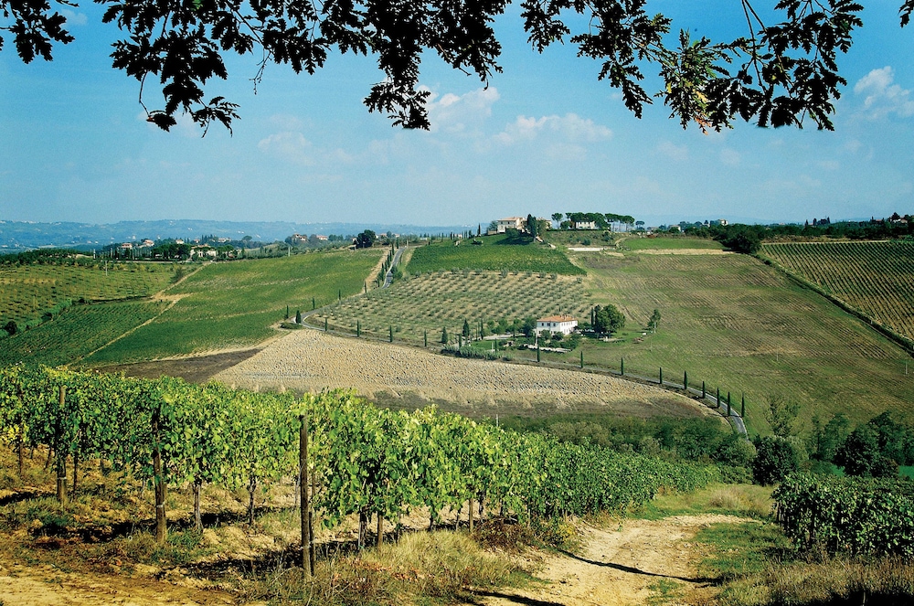Poderi Arcangelo 62/72
