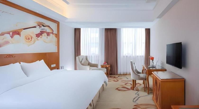 Vienna International Hotel (Dongguan Mayong Central Avenue) 19/49