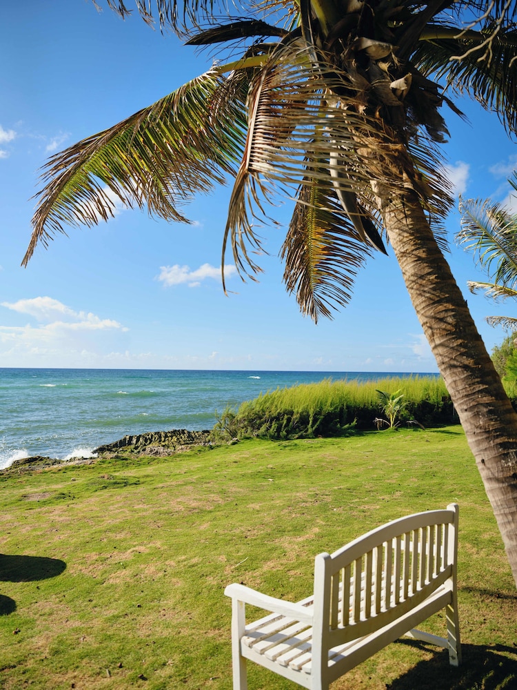 Ocean Spray Beach Apartments 35/50