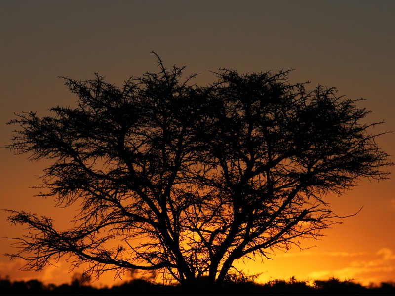 Safari Lodge- Amakhala Game Reserve 41/50
