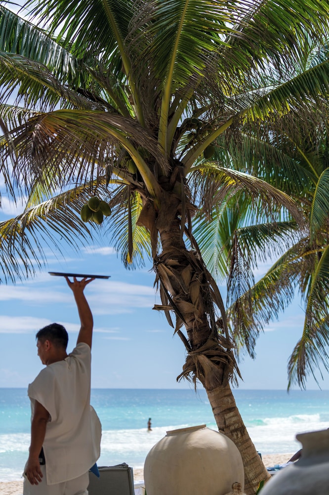 Sana Tulum Beachfront Boutique Hotel 67/72