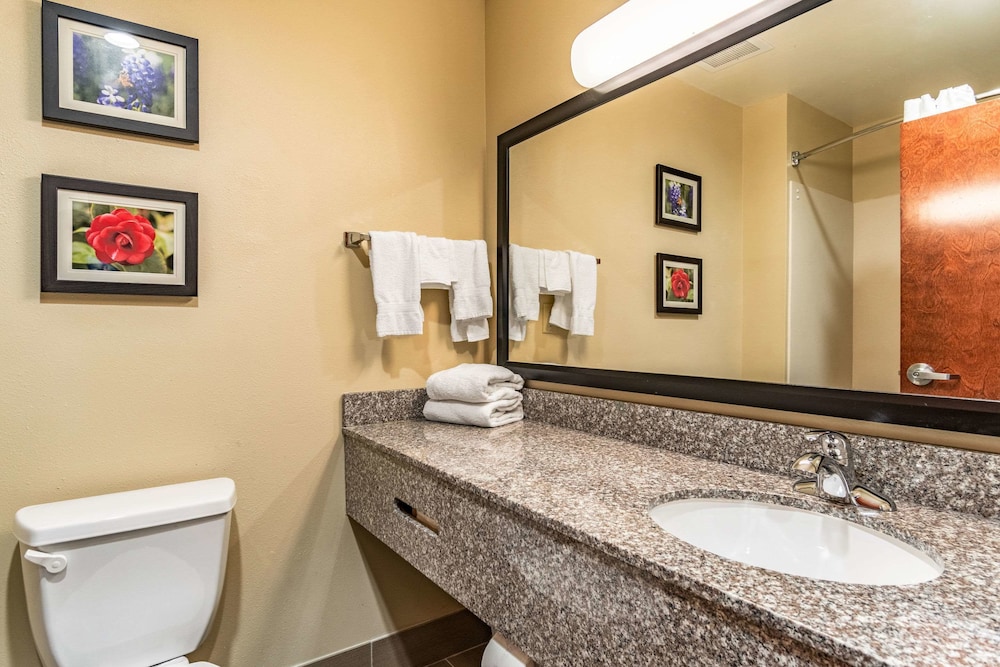 Comfort Inn Suites Tuscumbia Muscle Shoals 19/45