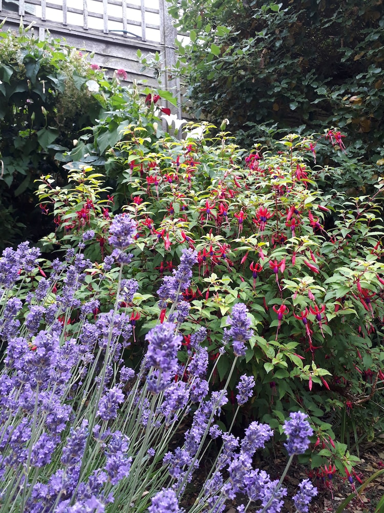 Stoneleigh Barn Bed And Breakfast 19/25