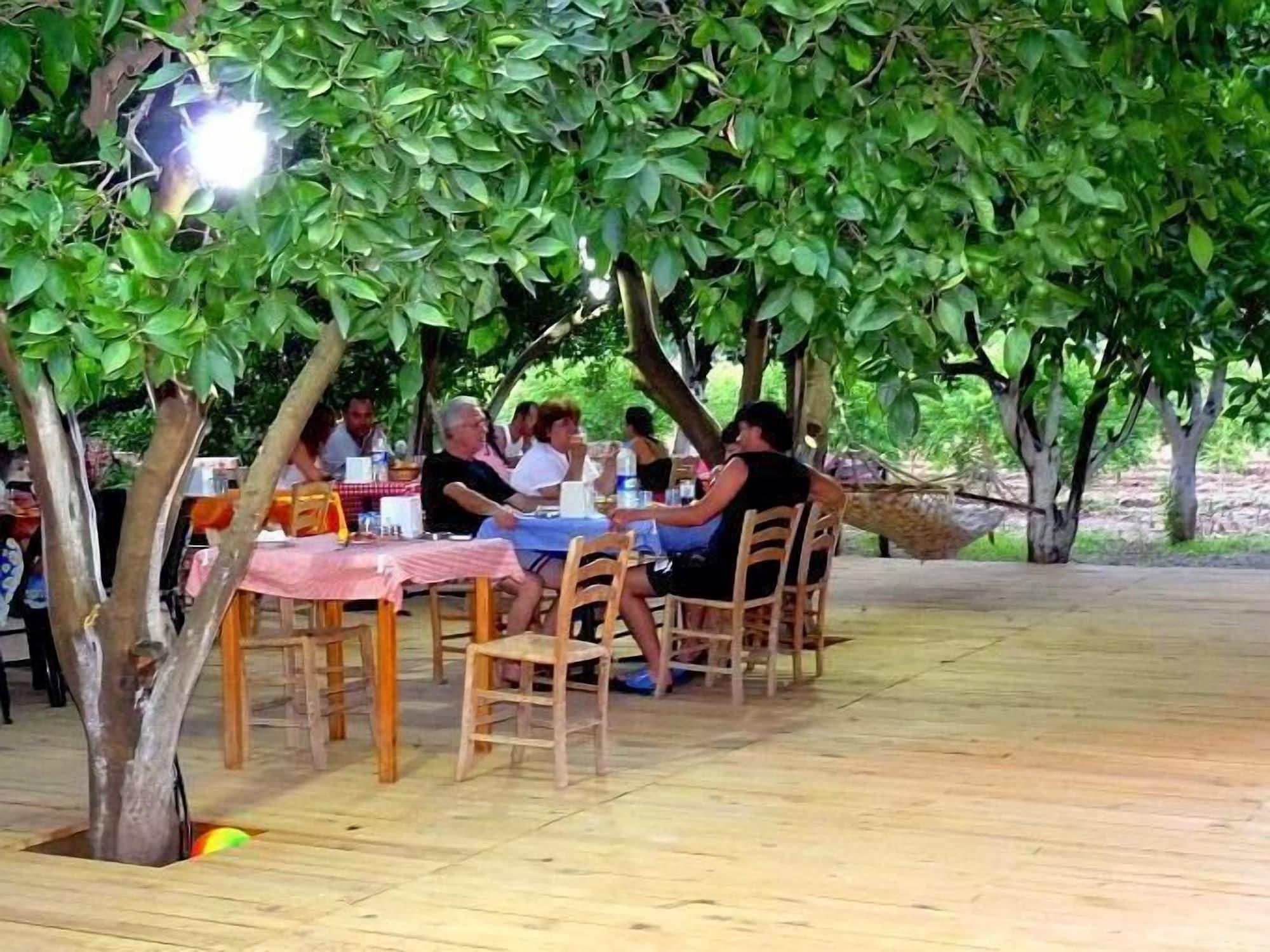 Portakal Bahcesi 18/35