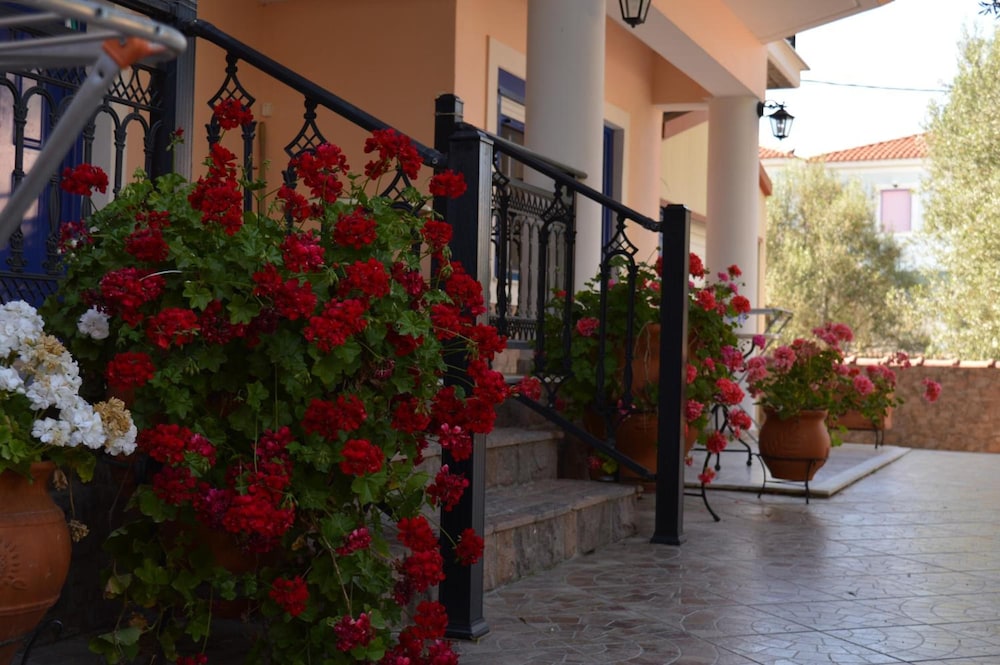 ANAXOS GARDEN 57/64