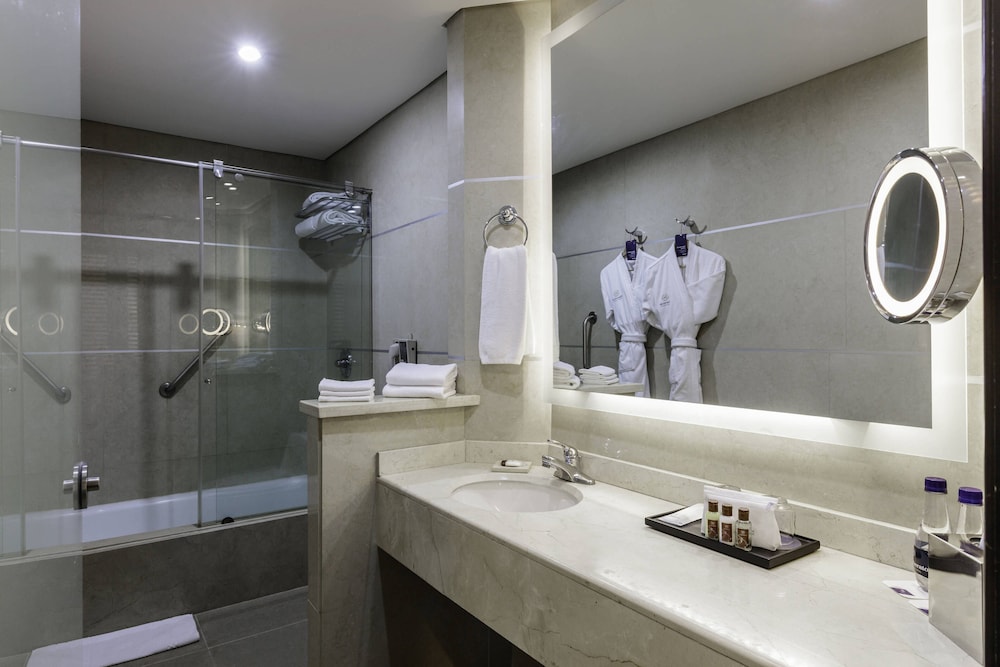 Sheraton Bogota Hotel 17/39