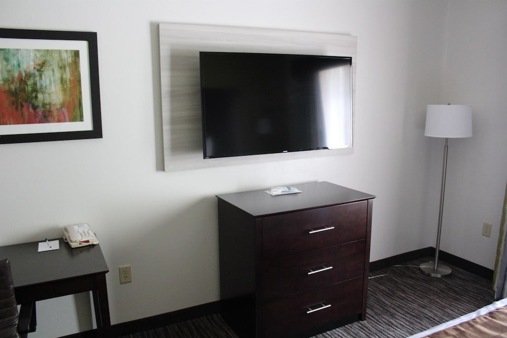 Best Western Magnolia Inn And Suites 27/36