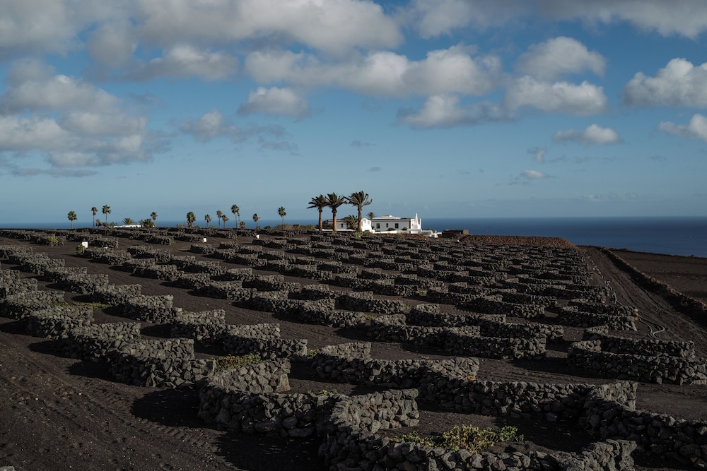 Hotel Cesar Lanzarote 2/50