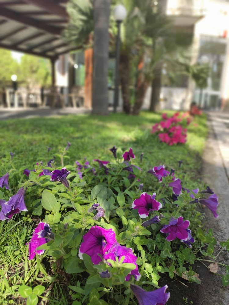 Park Hotel Oasi 45/50