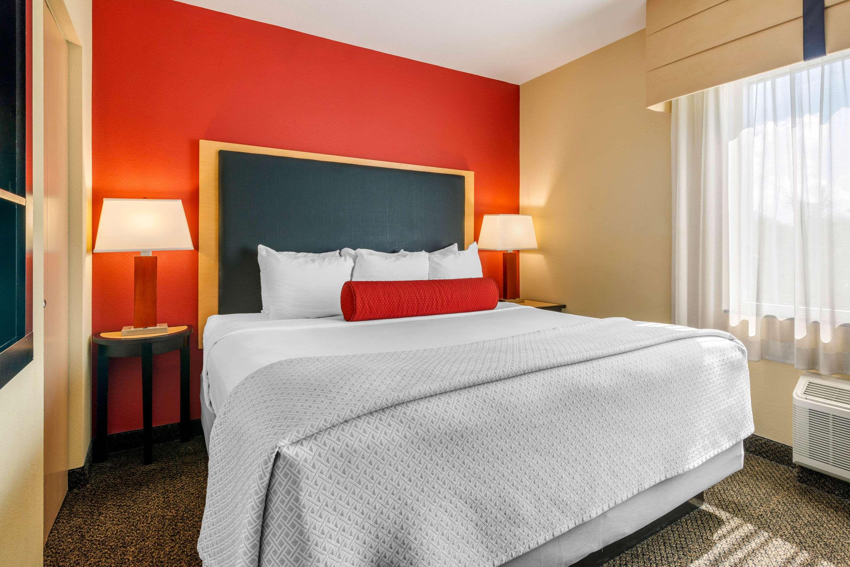 Suite, Queen Bed