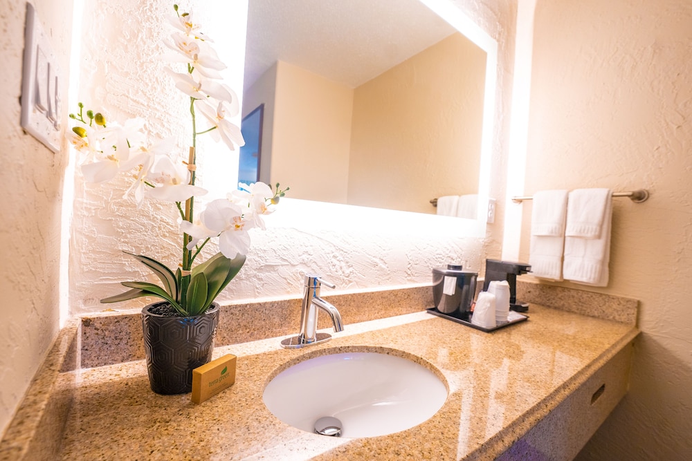 غرفة بسرير كينج بإطلالة على المسبح، Mai Hana Hotel and Suites International Drive 4/5