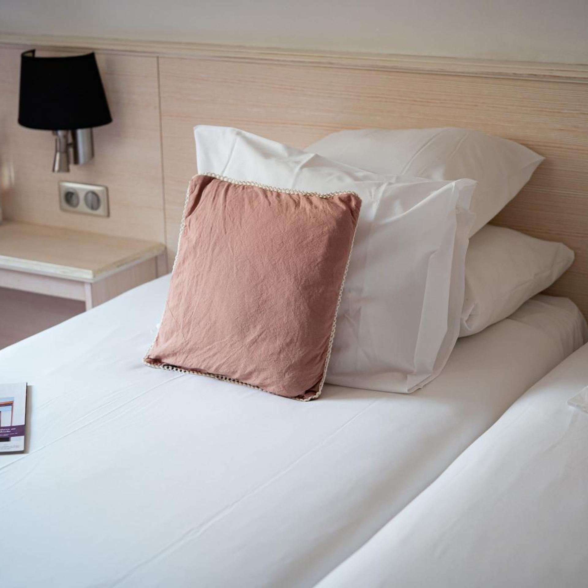 Logis Hotel Restaurant le Rapp 24/50