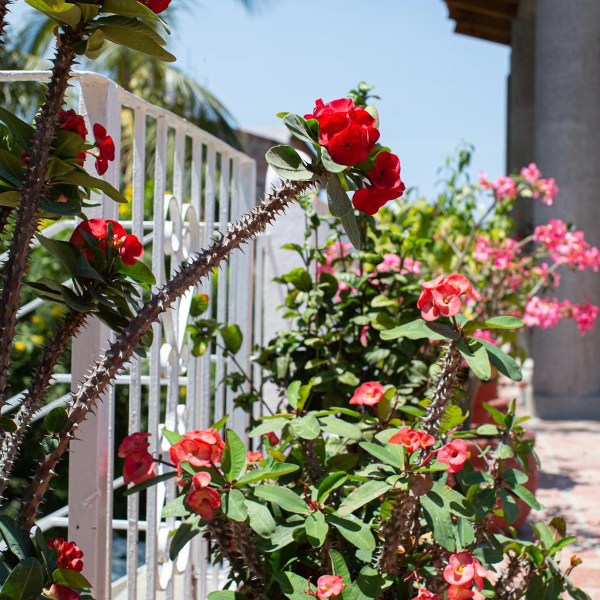 Casitas Miramar Puerto Vallarta Malecon 44/50