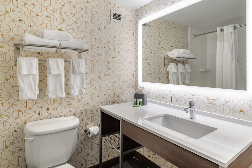 Holiday Inn Atlanta Gas South Arena Area 10/57