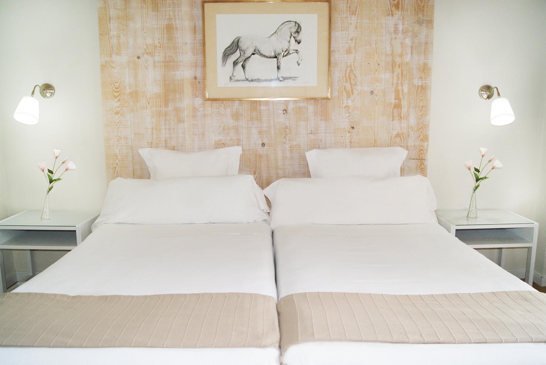 Standard, Double Bed, Hotel Jerez AQ35 2/3