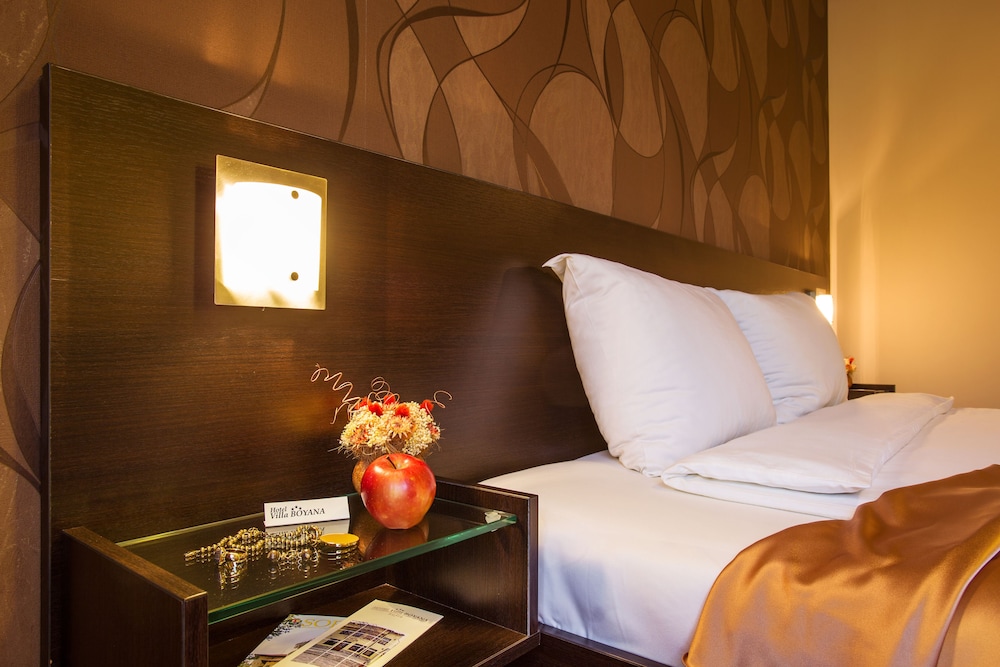 别墅Boyana酒店(Hotel Villa Boyana) 图片2