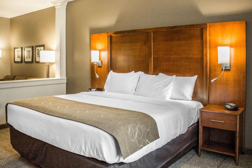 Upgrade, Suite, King Bed