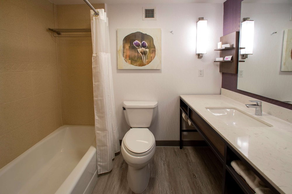 Hilton Garden Inn Rapid City 44/50