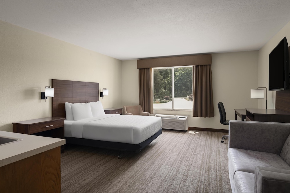 Suite, Queen Bed, Park Level, Accessible