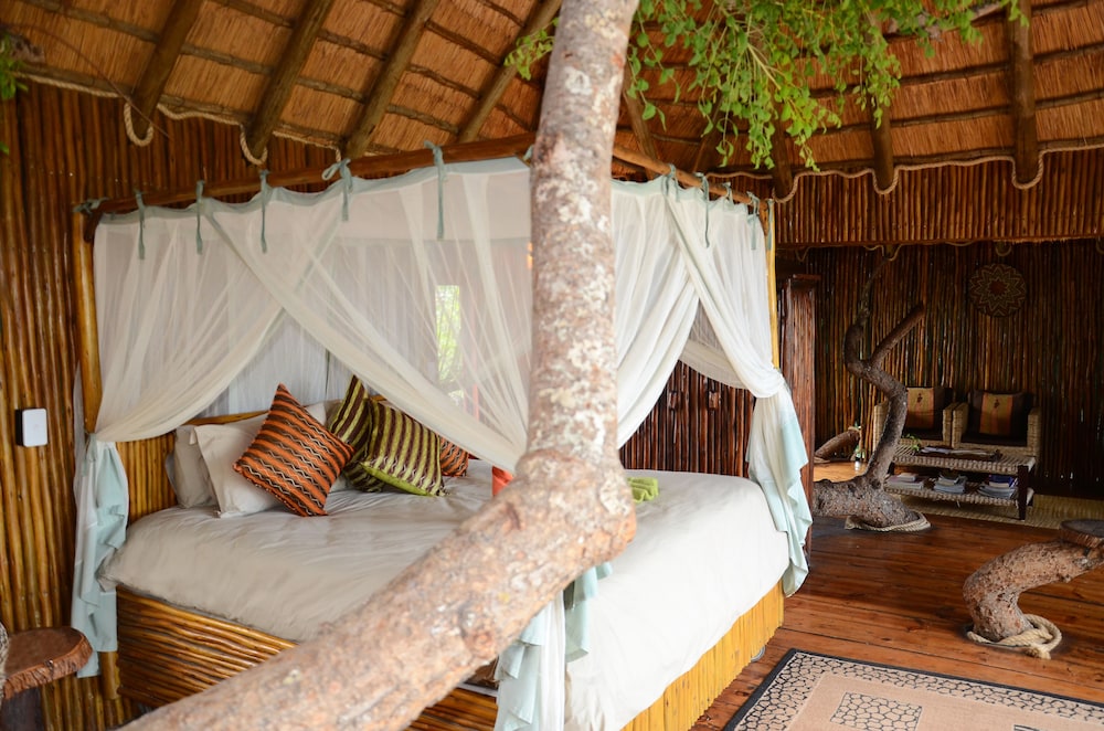 Pezulu Tree House Lodge 9/50