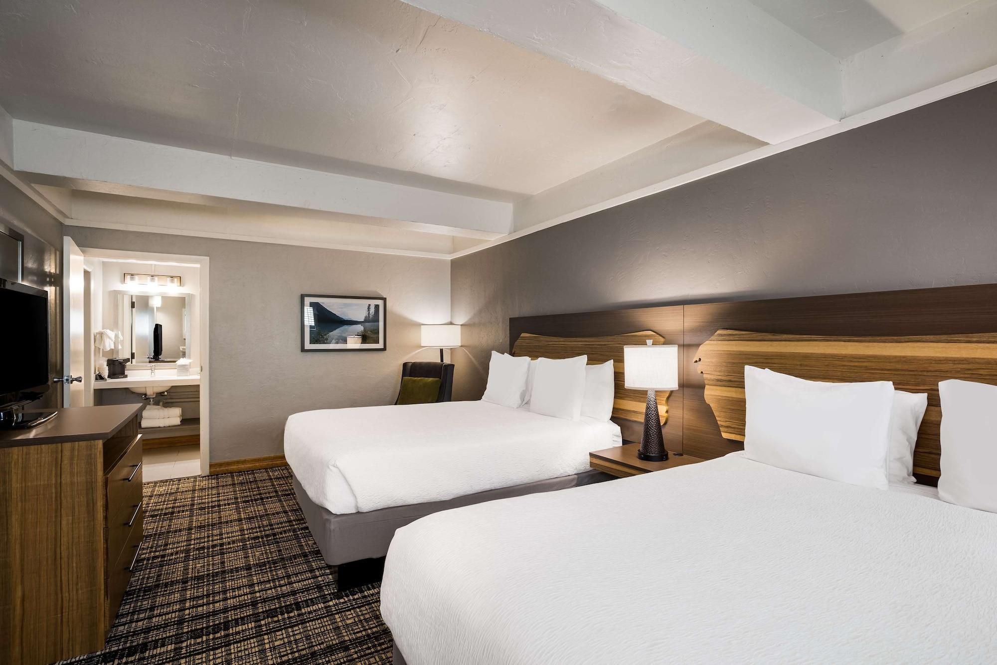 Suite, Multiple Beds, Sofa