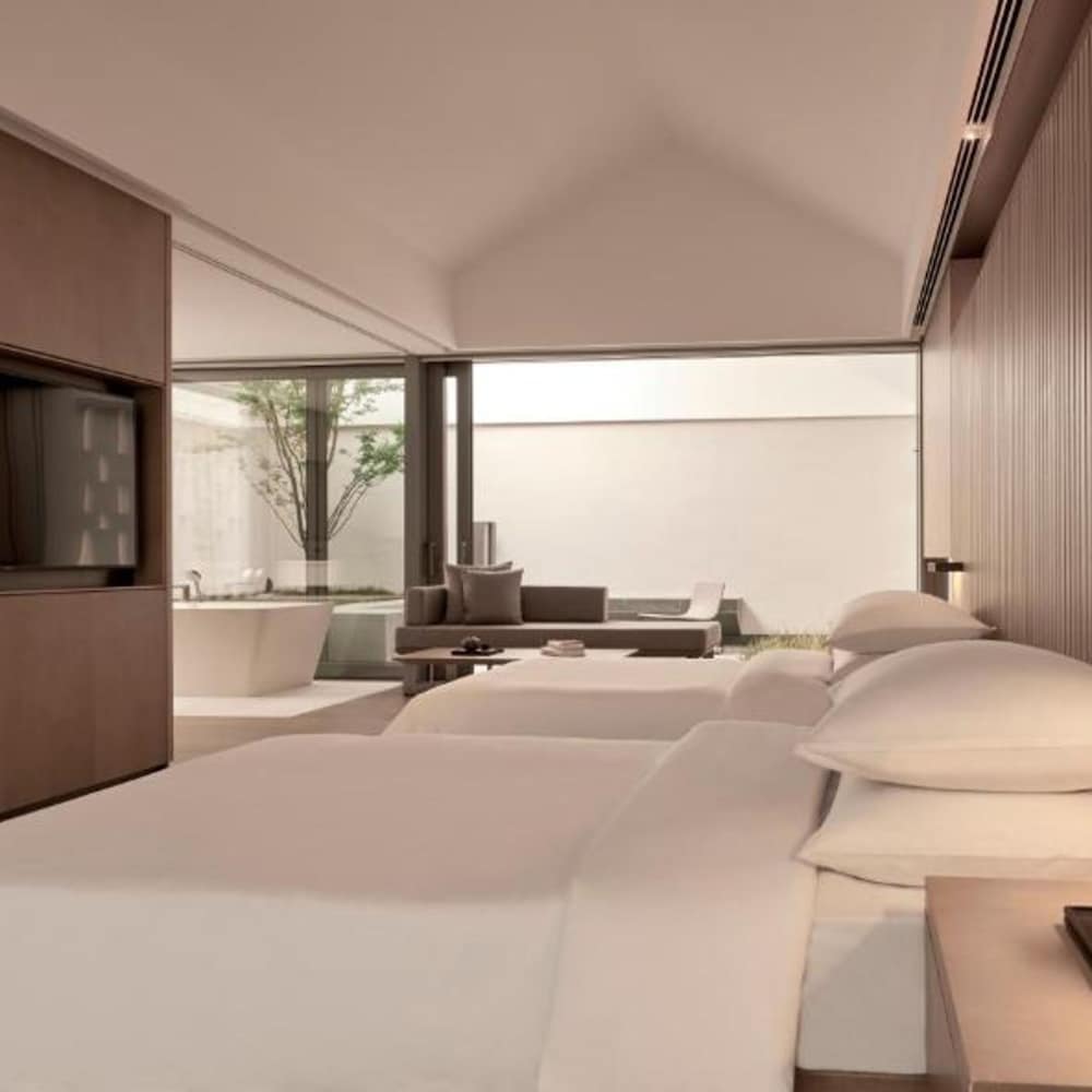 Alila Wuzhen 40/55