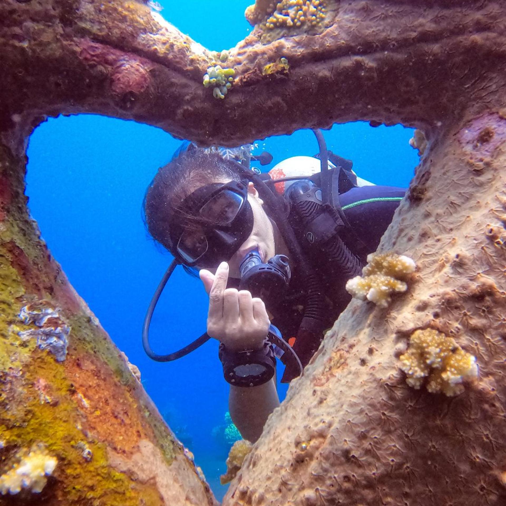 Kura Kura Divers Lodge 23/32