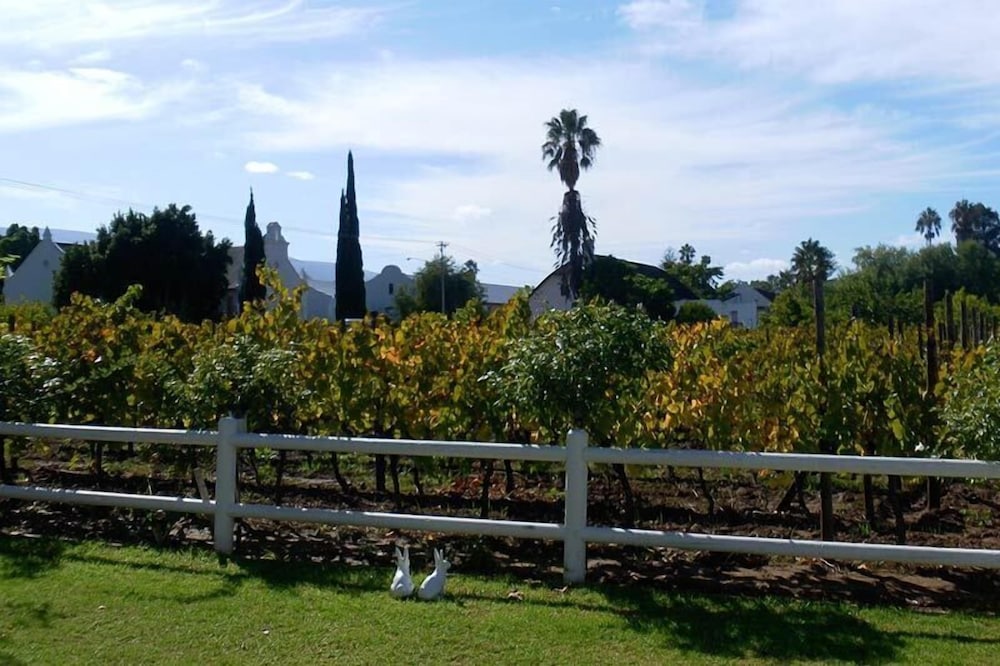 The Vineyard Country House 27/38