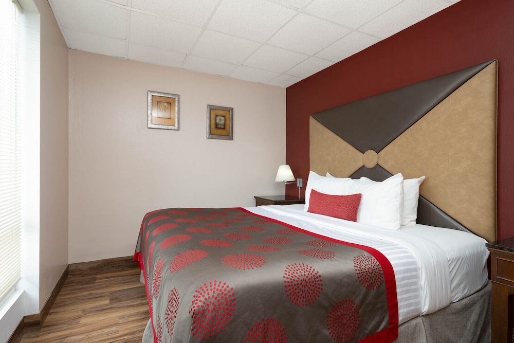 Suite, King Bed