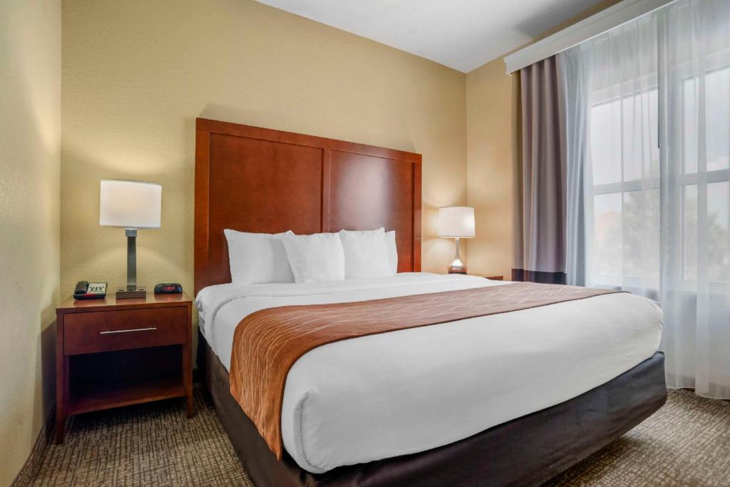 Upgrade, Suite, King Bed