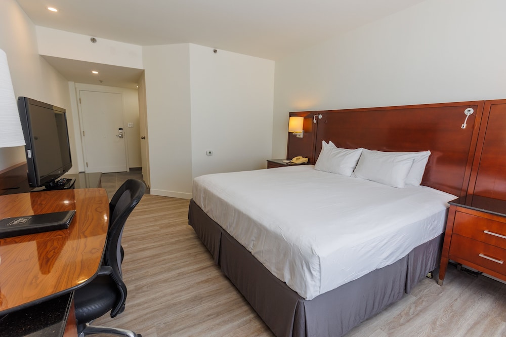 Room, Double Bed, Accessible