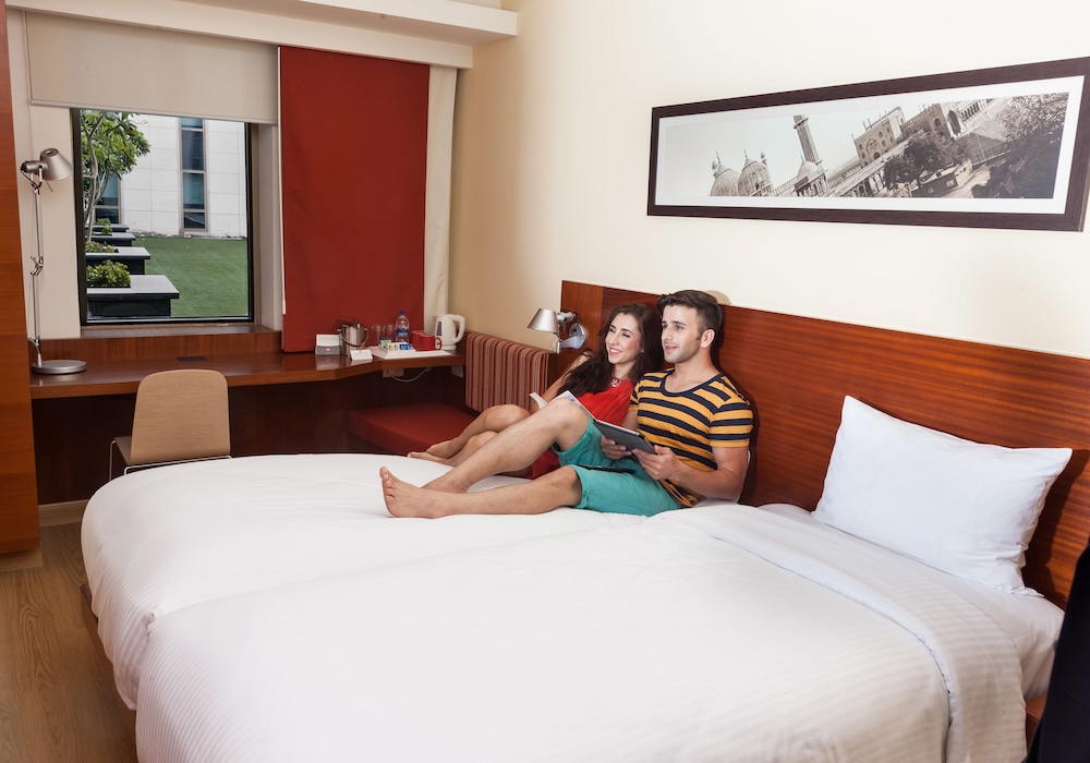 Ibis Delhi Airport 18/71