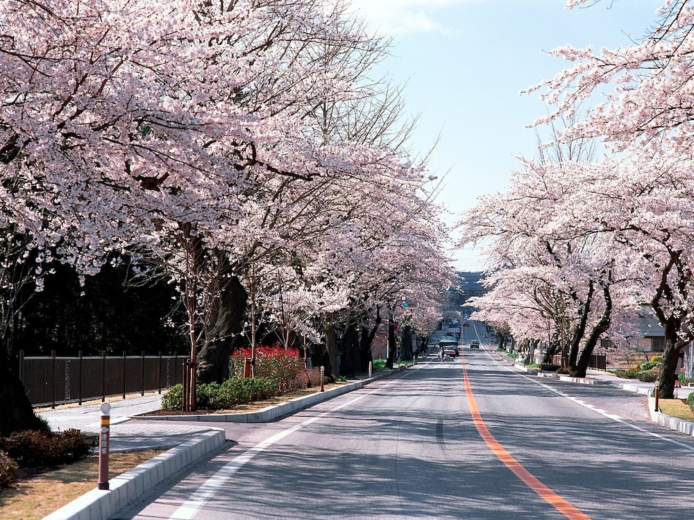 Yamayuri No Yado 97/100