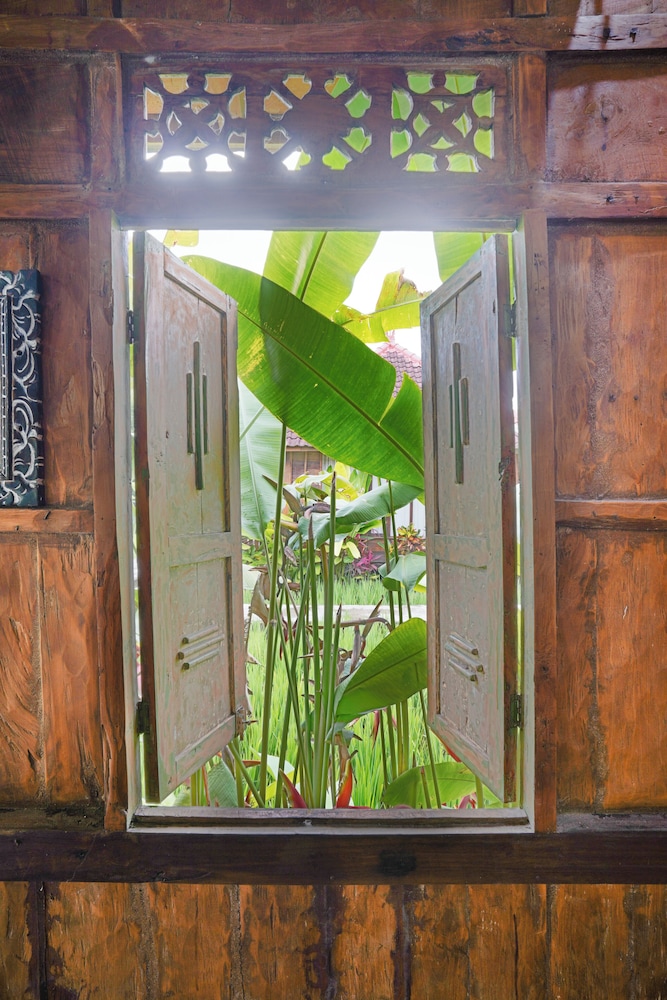 Ubud Sawah Homestay 8/50