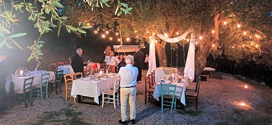 Tenuta Terre Di Bosco 33/49