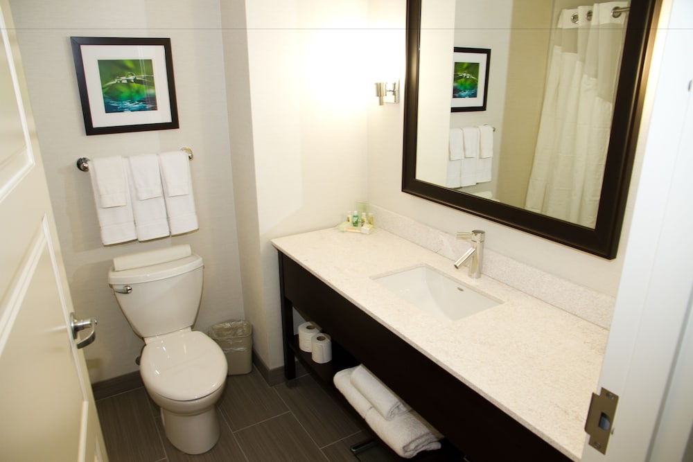 Holiday Inn Red Deer South 13/76