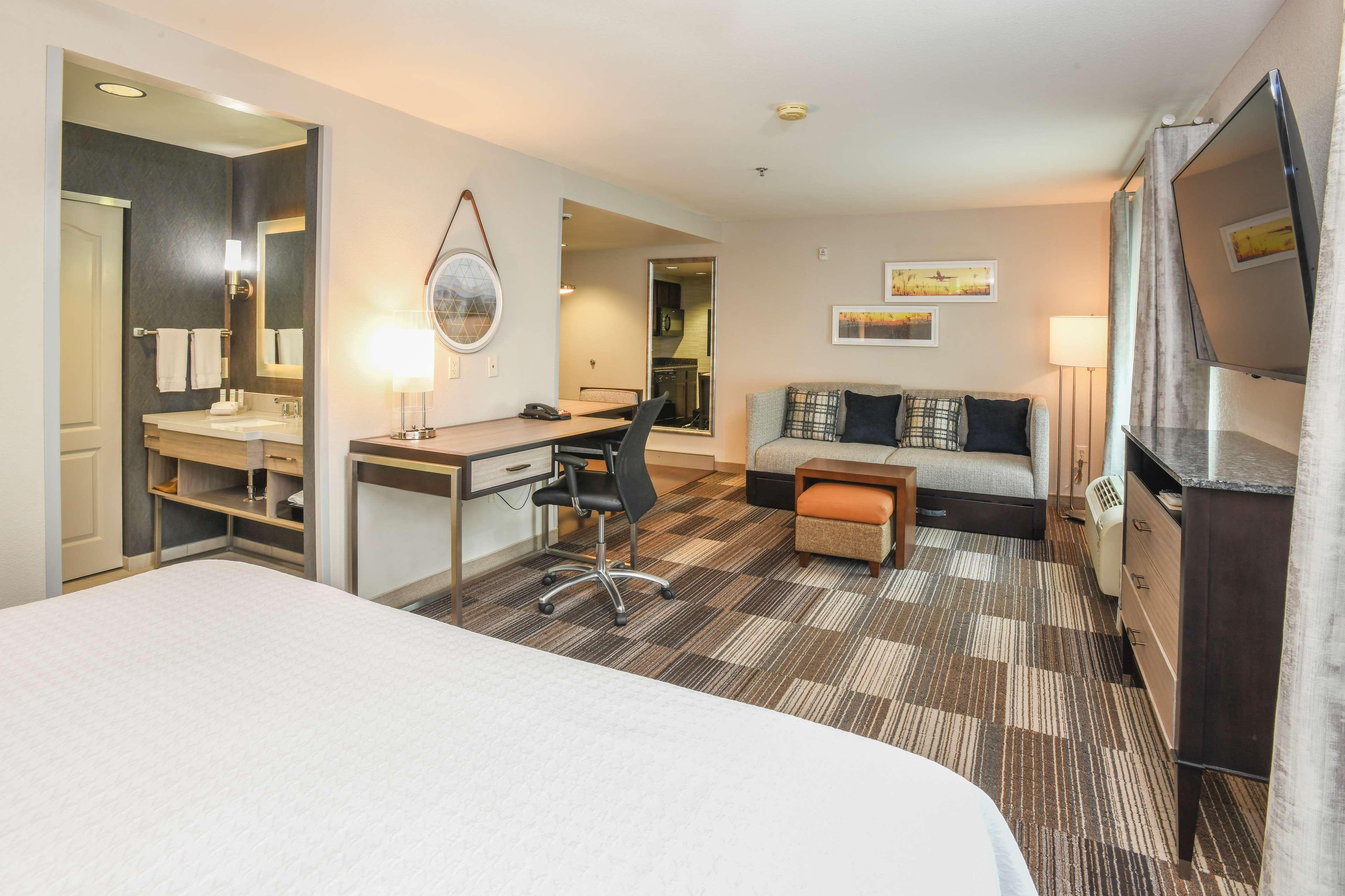 Studio, King Bed, Kitchen