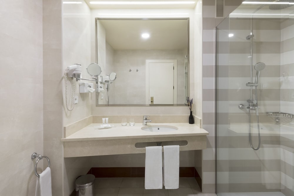 Elba Madrid Alcala Hotel 6/53