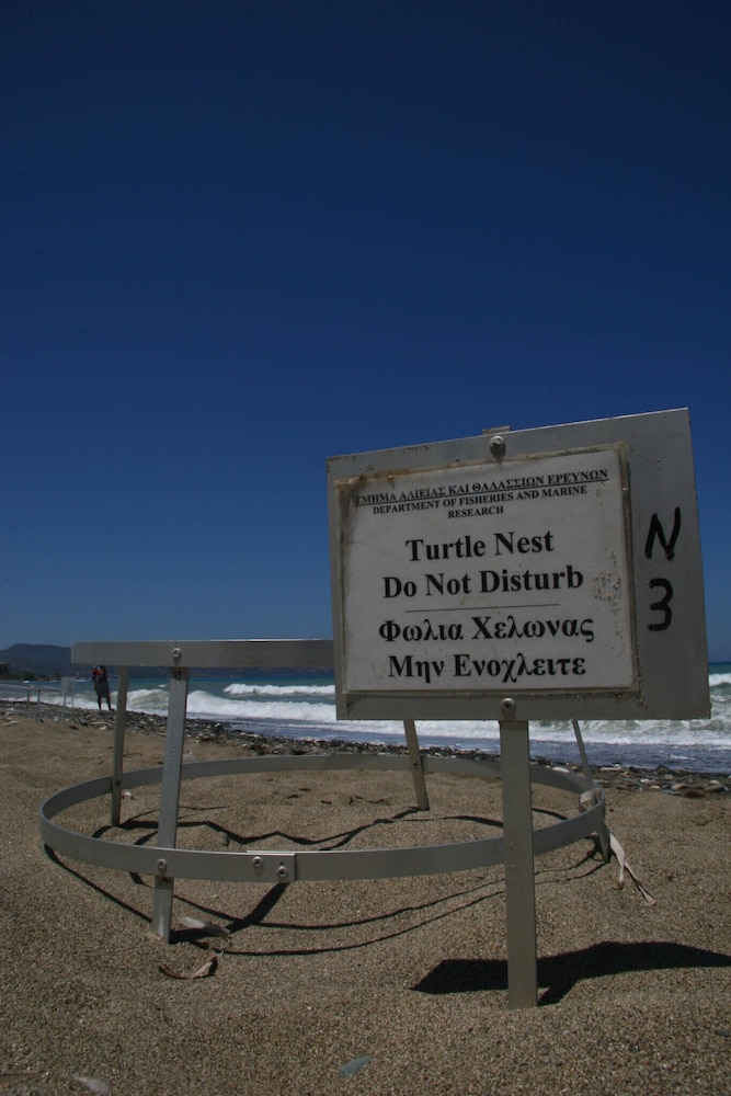 Natura Beach 34/50