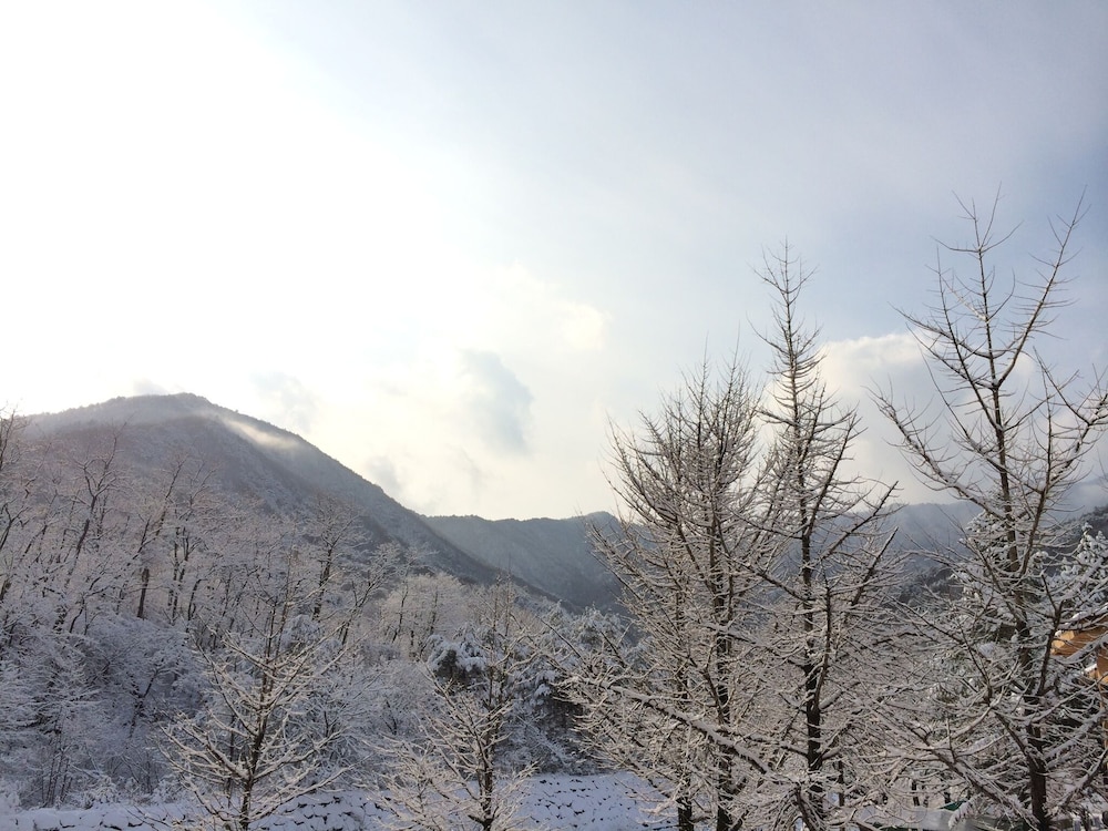 Smile Resort Sokcho 40/50