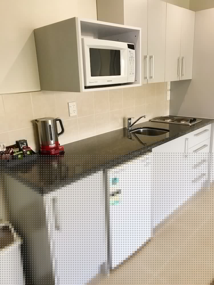 ALPHA汽车旅馆豪华公寓(ALPHA MOTEL LUXURY APARTMENTS) 图片3