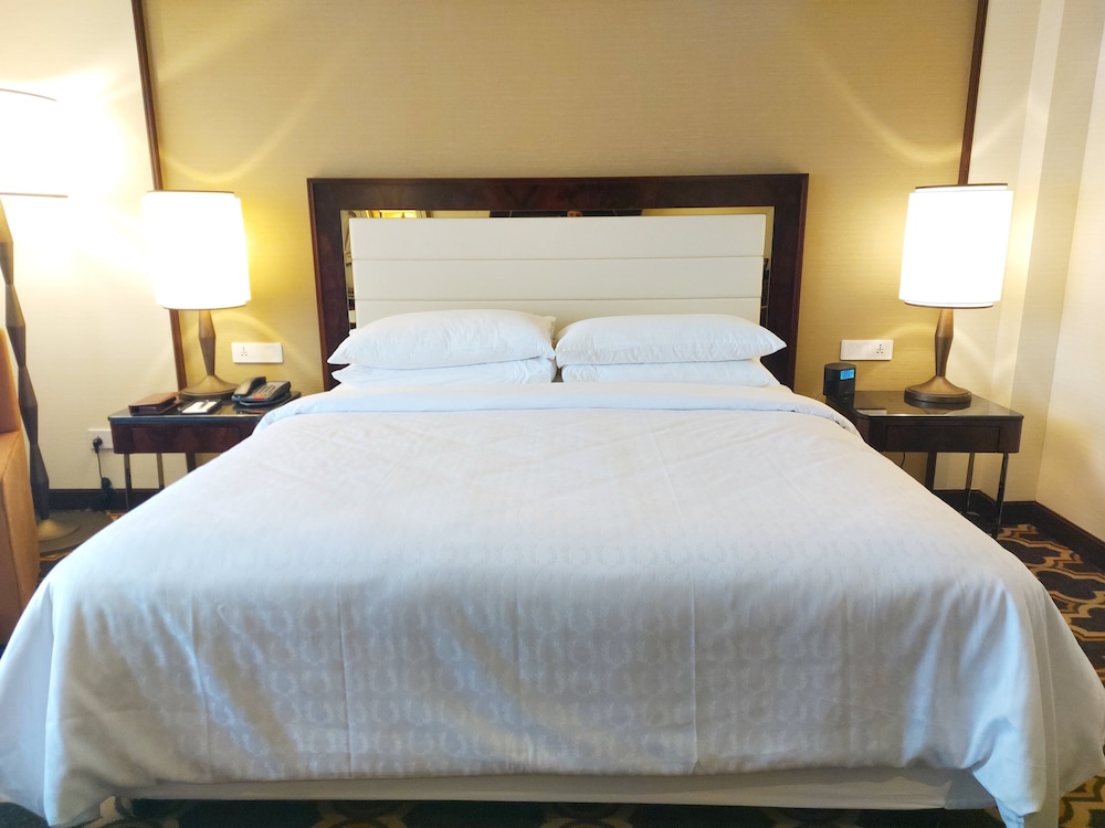 Sheraton Grand Pune Bund Garden Hotel 20/60