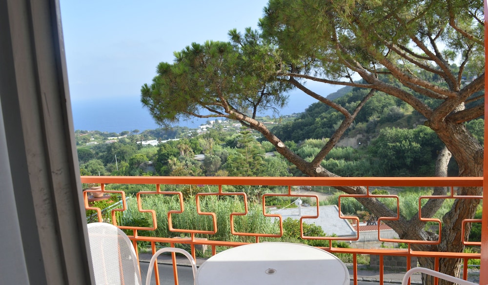 Hotel Polito 3/62