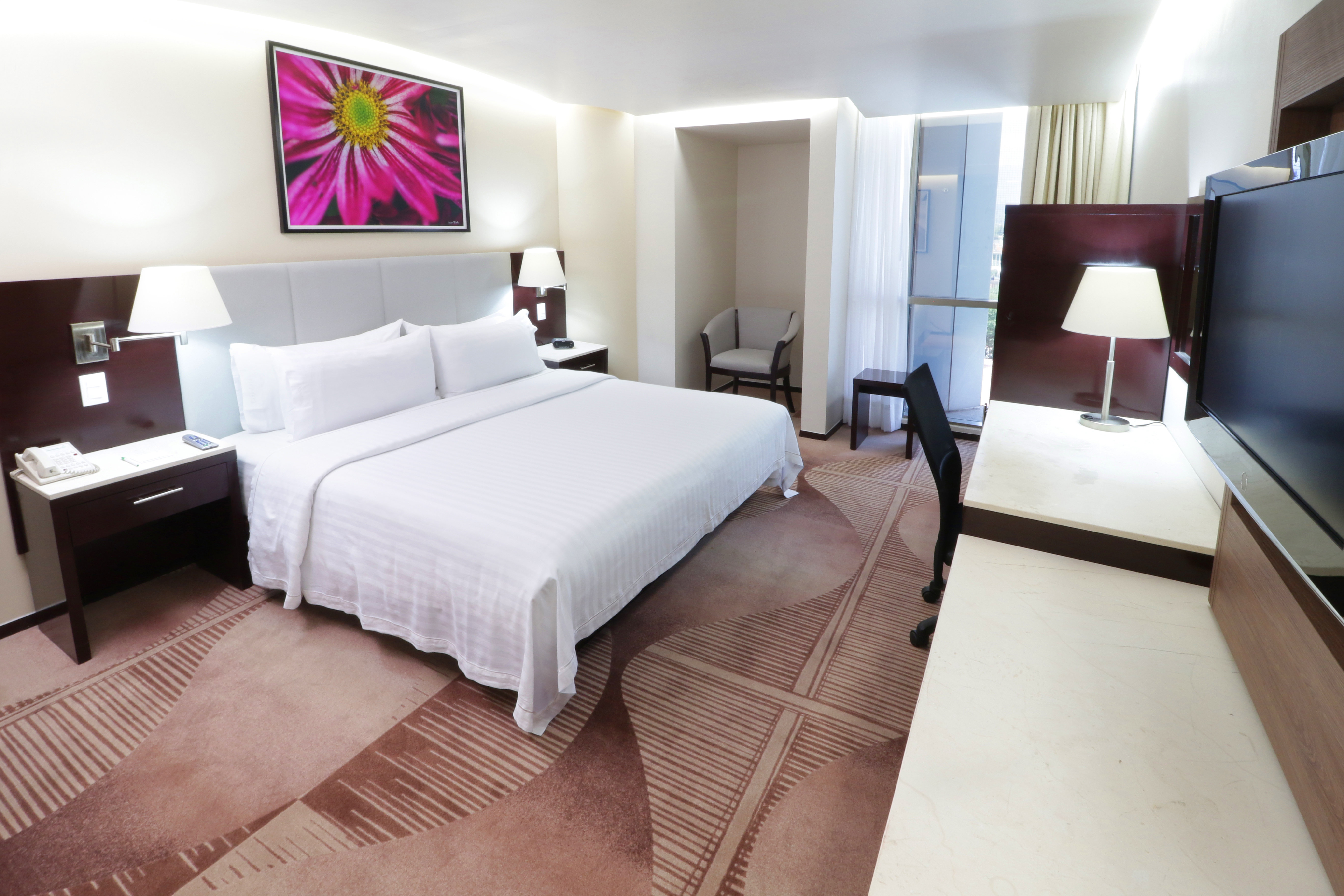 Holiday Inn Hotel And Suites Medica Sur 11/35