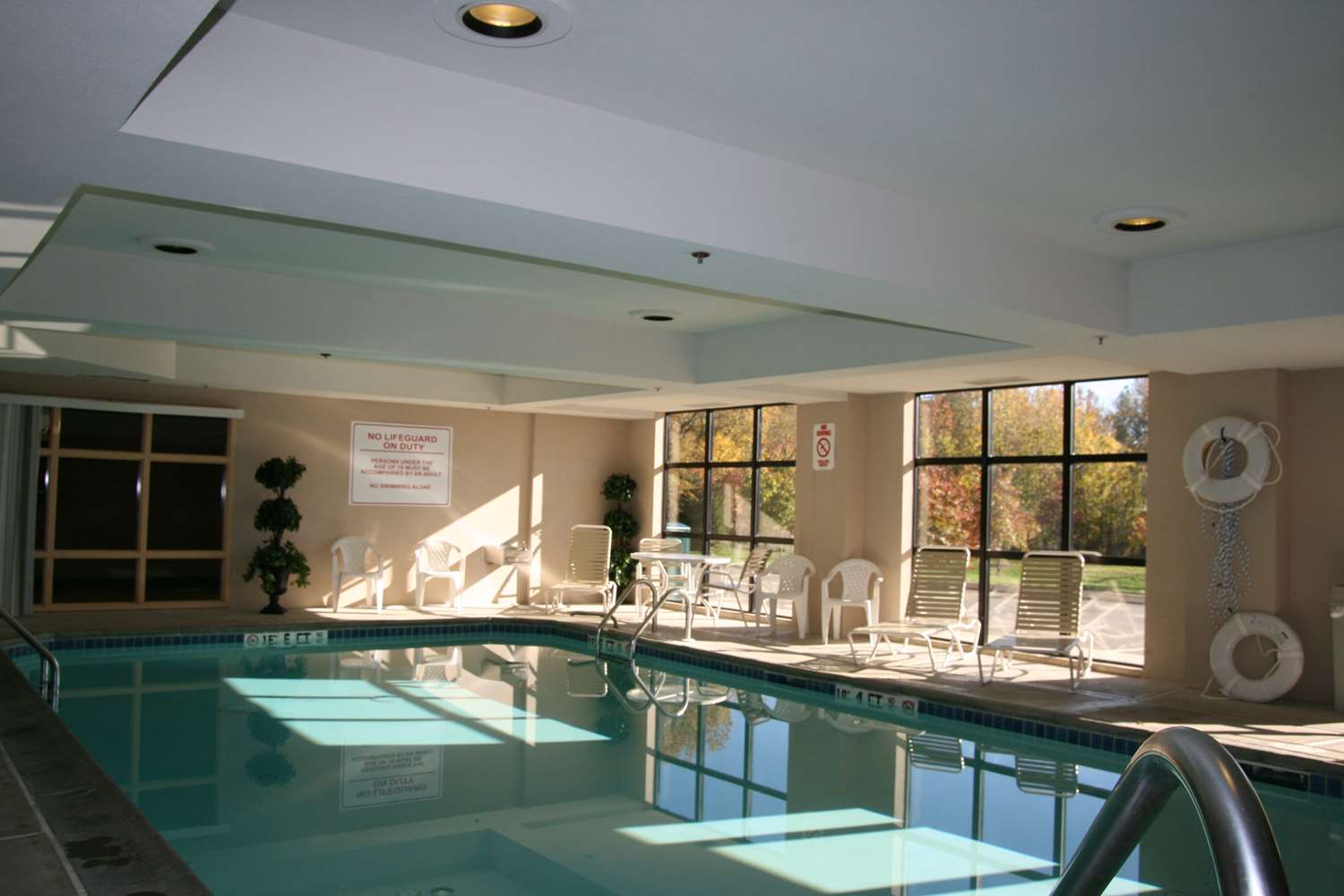 swimming pool spa