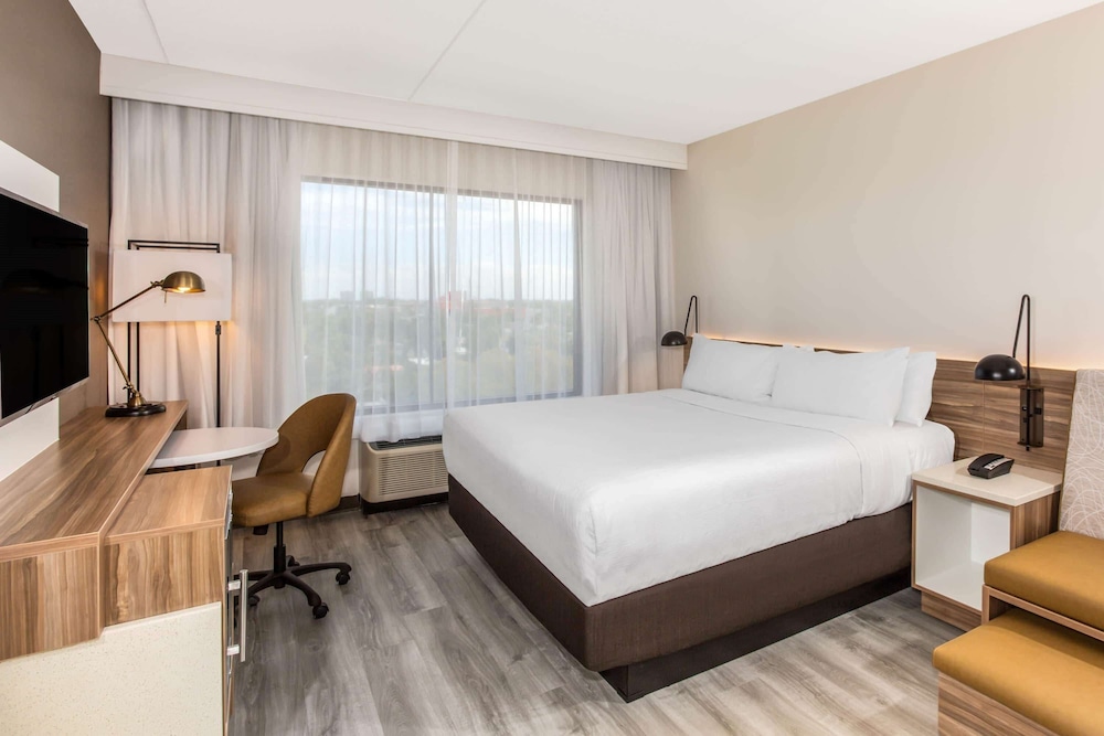 Room, King Bed