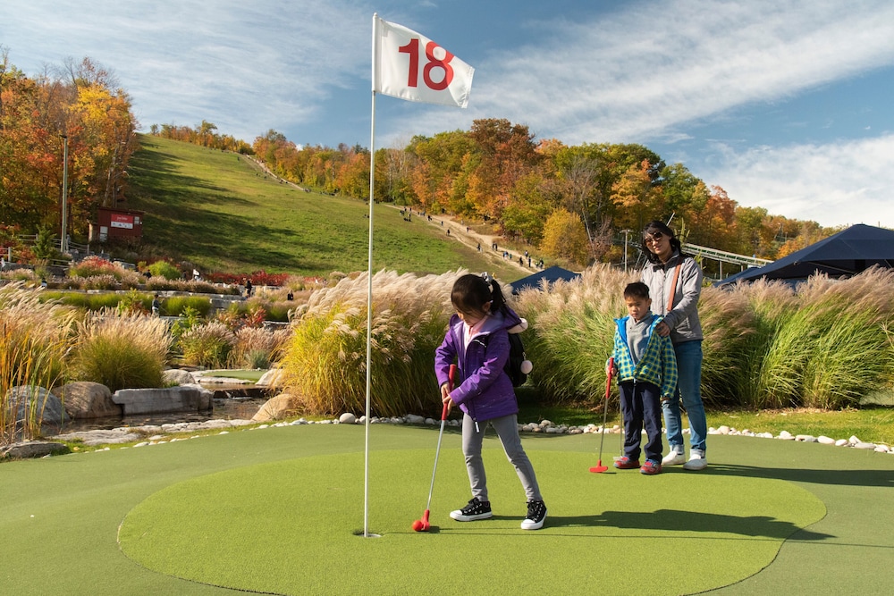 BLUE MOUNTAIN INN 24/50